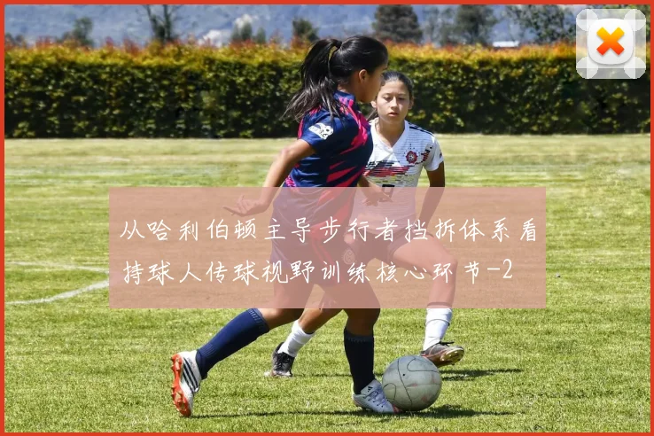 从哈利伯顿主导步行者挡拆体系看持球人传球视野训练核心环节