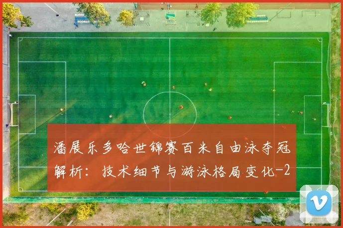 潘展乐多哈世锦赛百米自由泳夺冠解析：技术细节与游泳格局变化