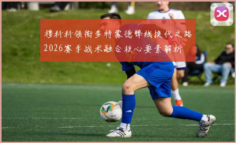 穆科科领衔多特蒙德锋线换代之路2026赛季战术融合核心要素解析